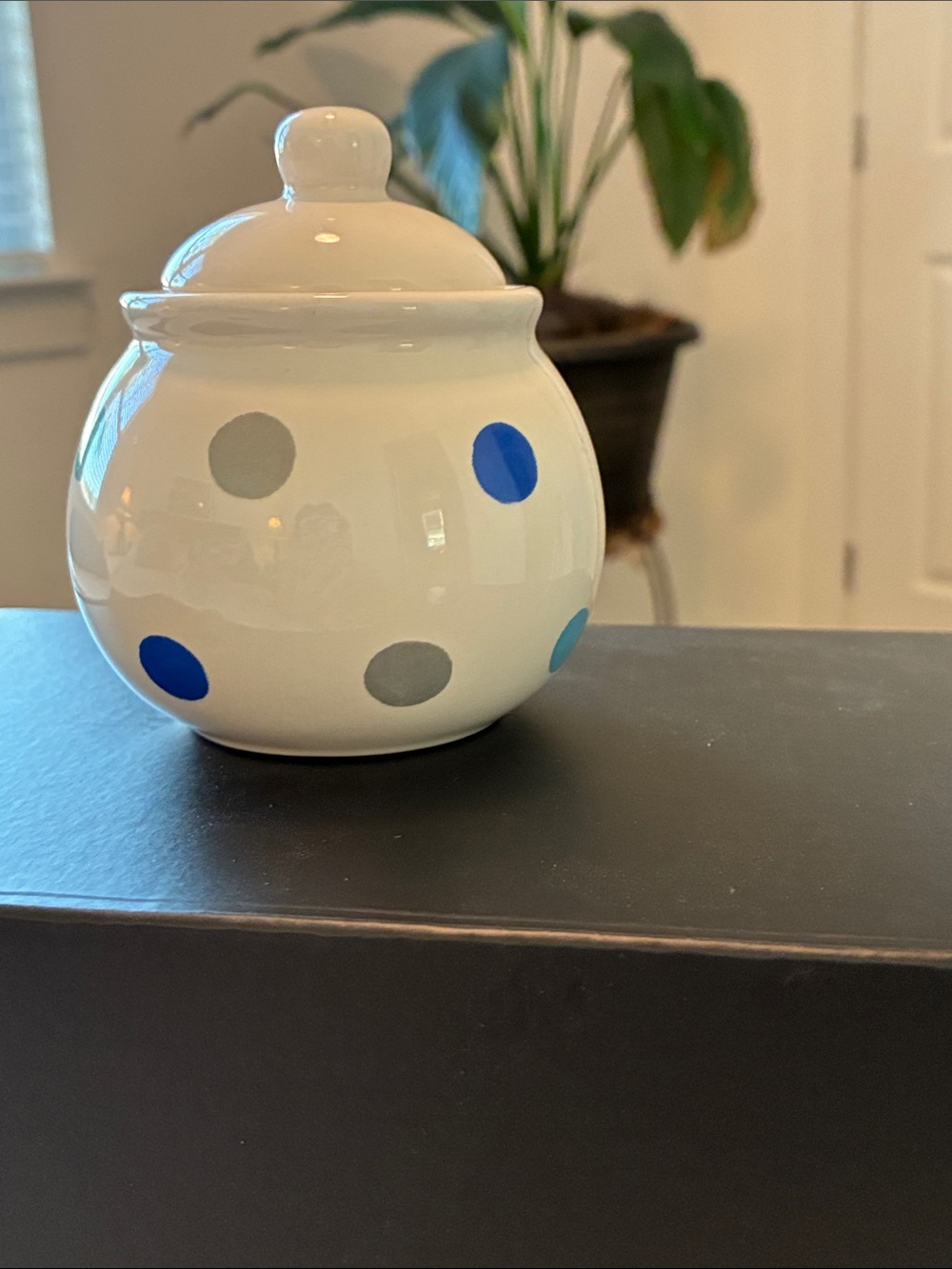 White Ceramic Polka Dot Jar with Blue and Gray Dots